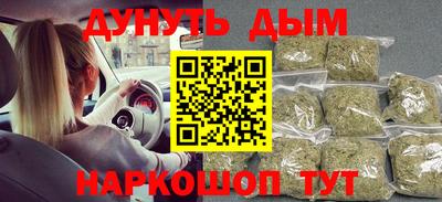 соль ск Новозыбков
