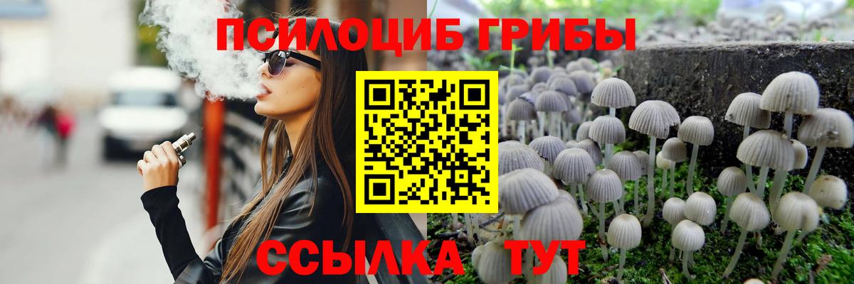 цена наркотик  Галлюциногенные грибы Magic Shrooms  Советск  Вход с VPN  Галлюциногенные грибы Psilocybine cubensis 