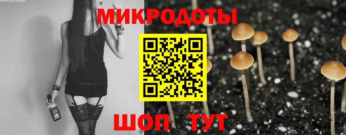 Галлюциногенные грибы Cubensis Советск